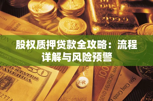 北京股权质押贷款全攻略：流程详解与风险预警