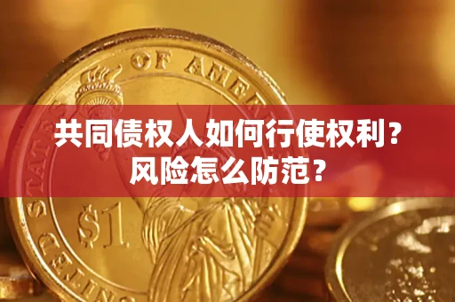 北京共同债权人如何行使权利？风险怎么防范？