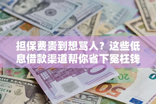 北京担保费贵到想骂人？这些低息借款渠道帮你省下冤枉钱