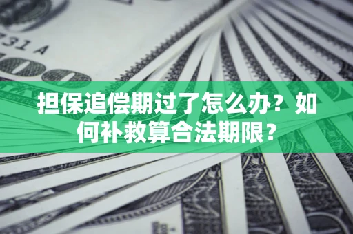 北京担保追偿期过了怎么办？如何补救算合法期限？