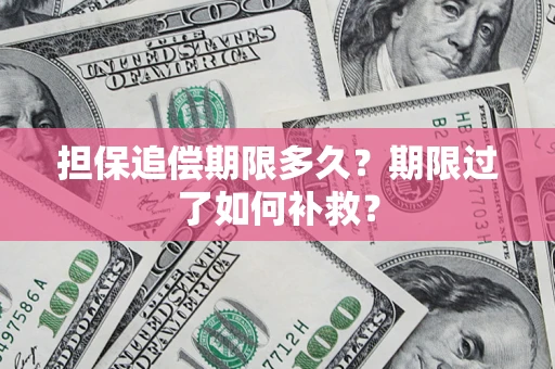 北京担保追偿期限多久？期限过了如何补救？